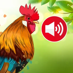 Animal sounds & wallpaper icon