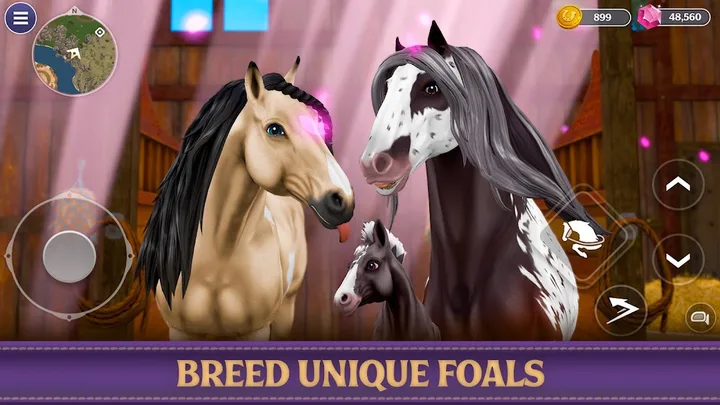 Star Equestrian - Horse Ranch screenshot 1