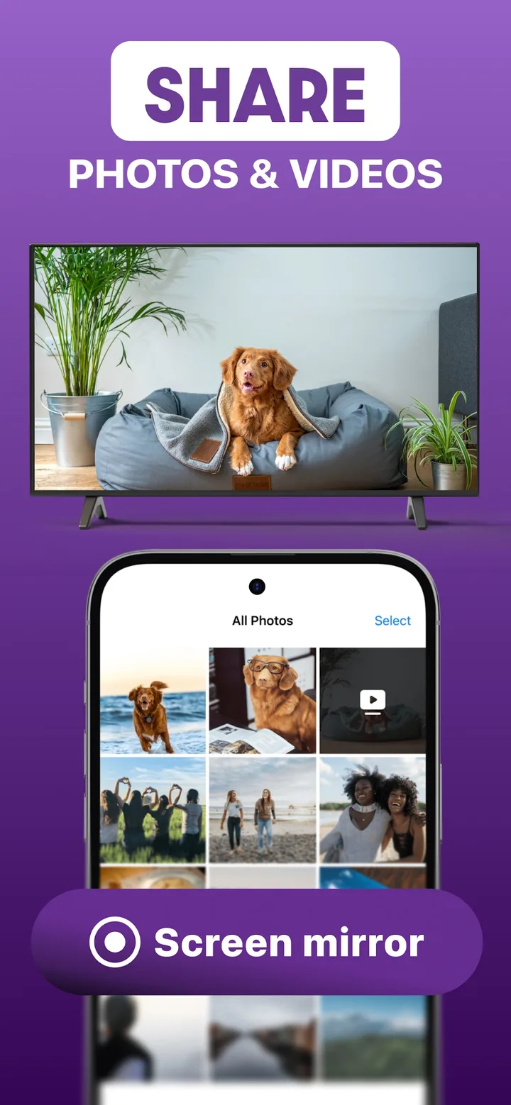 Roku Screen Mirror & Cast TV screenshot 4