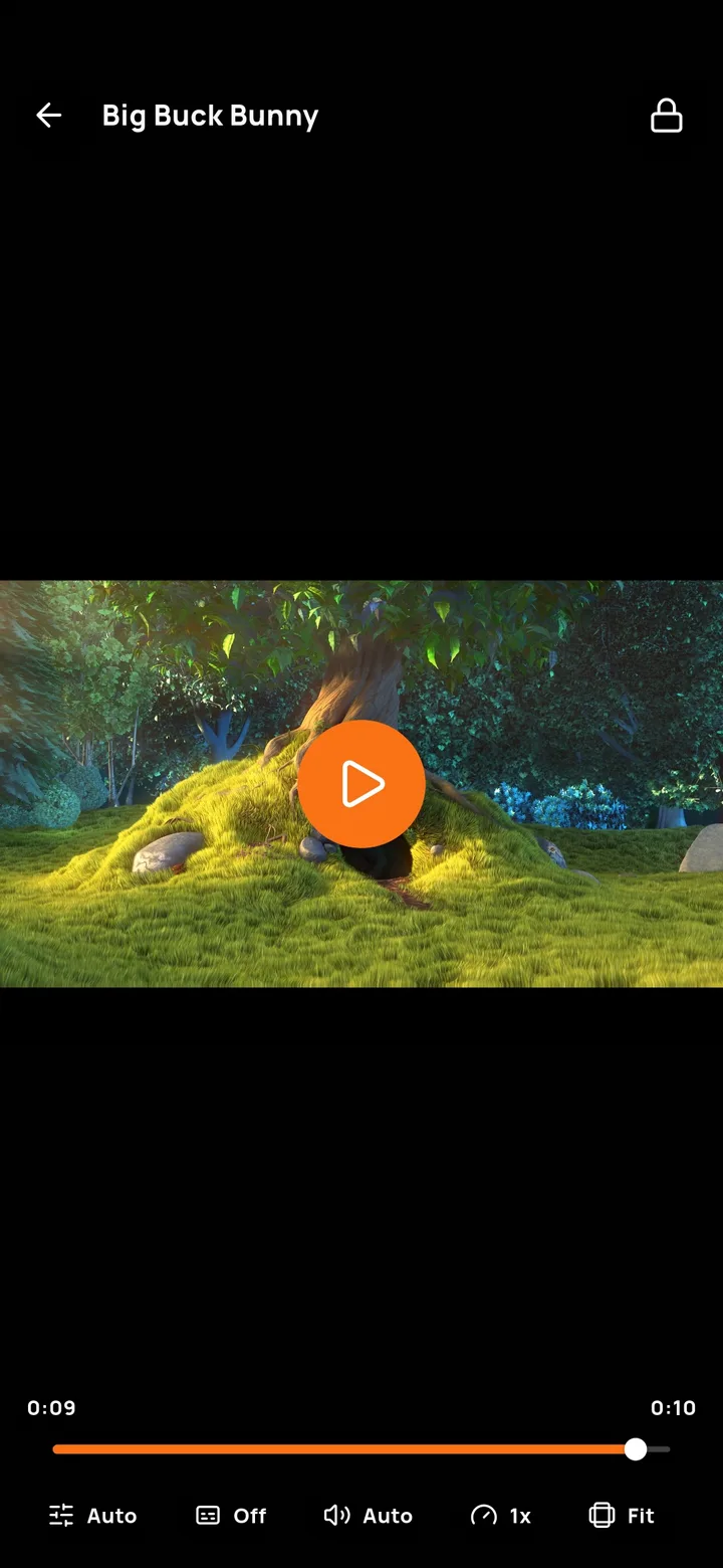 AniPlayer - Video Player screenshot 3