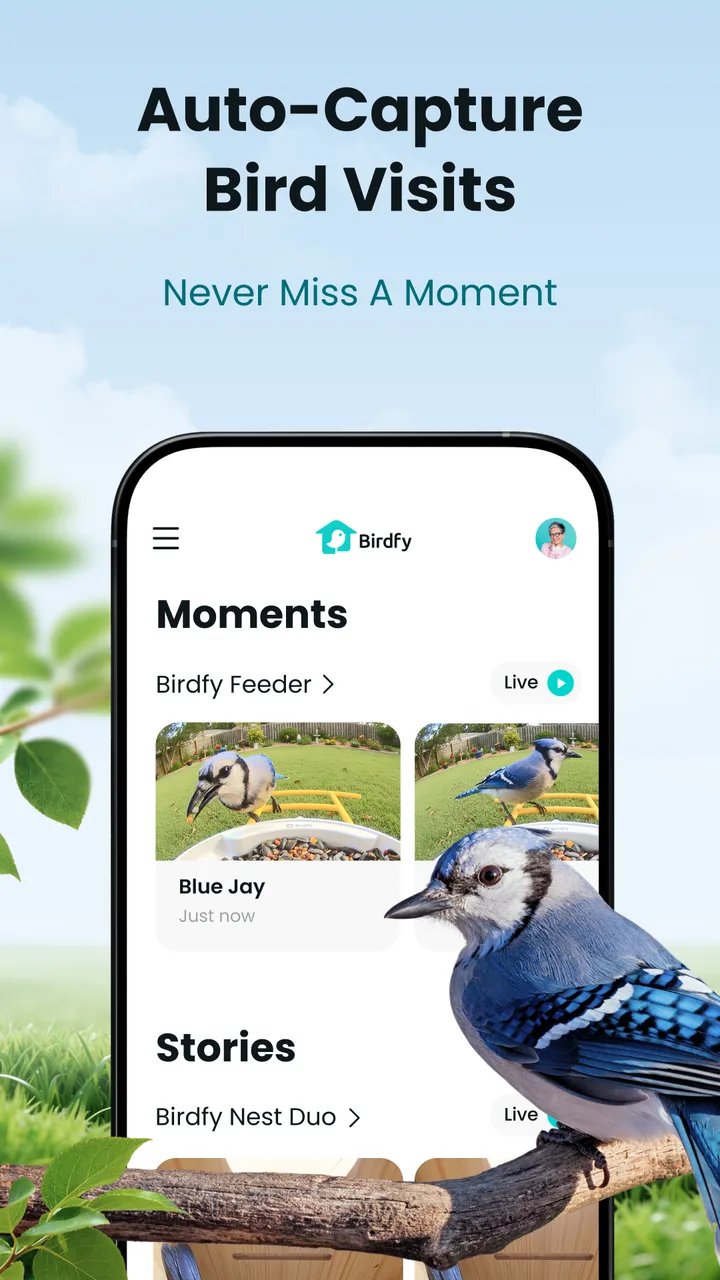 Birdfy screenshot 1
