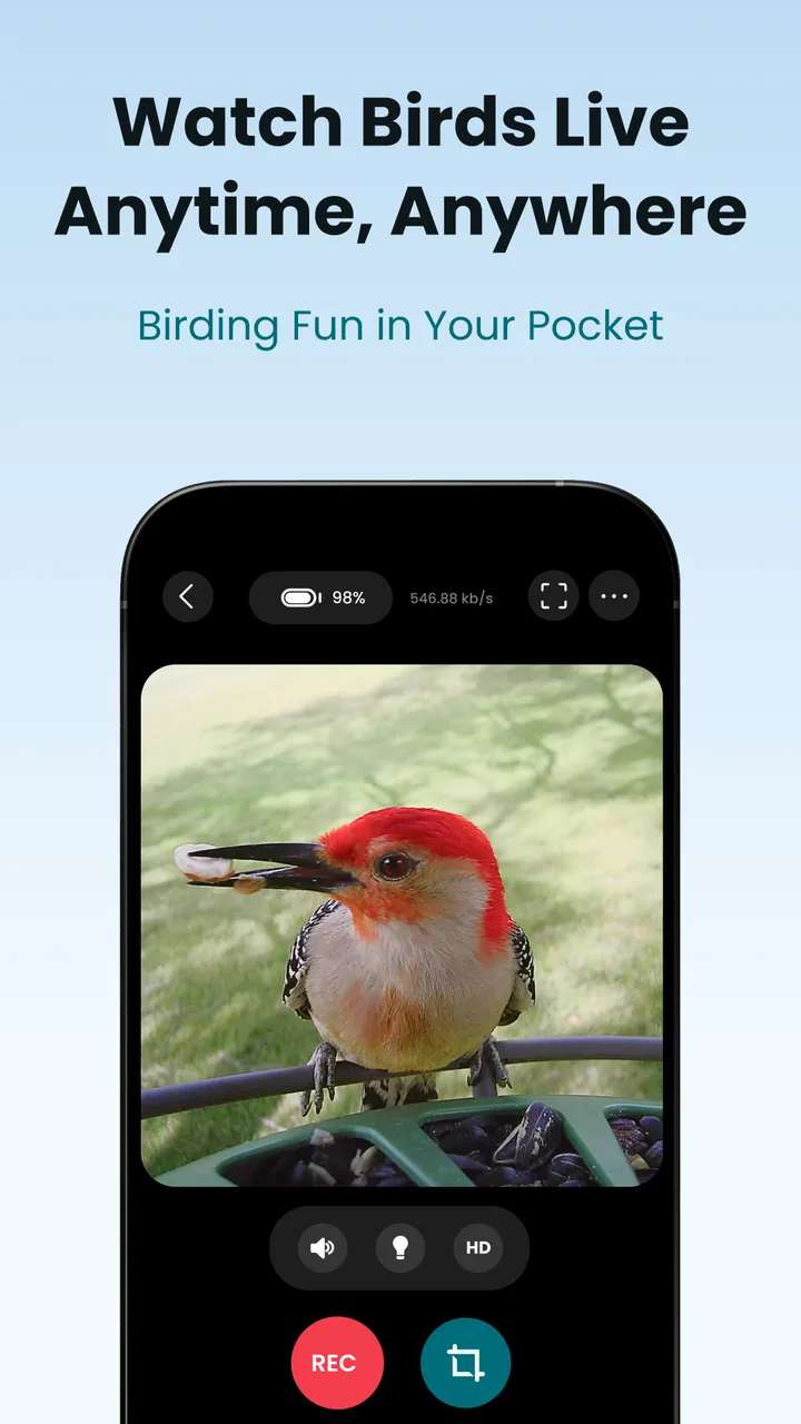 Birdfy screenshot 2