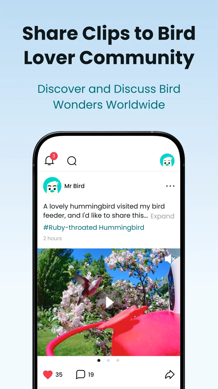 Birdfy screenshot 4