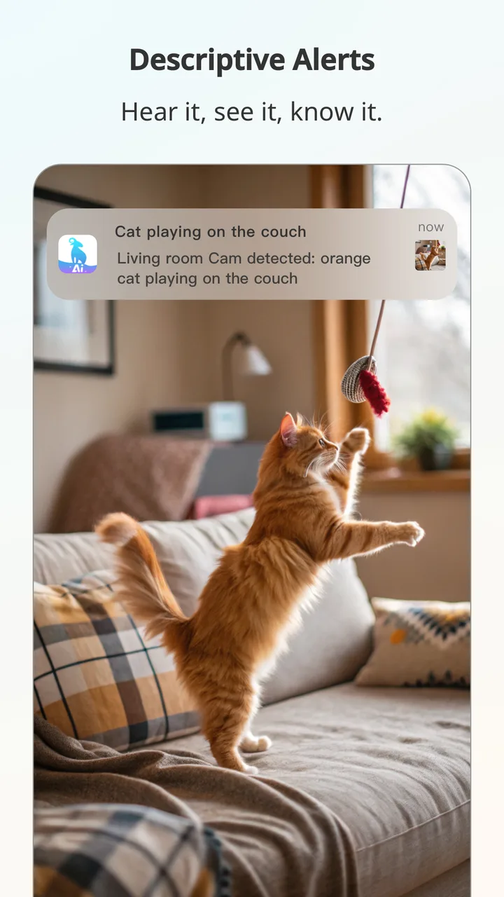 blurams screenshot 3