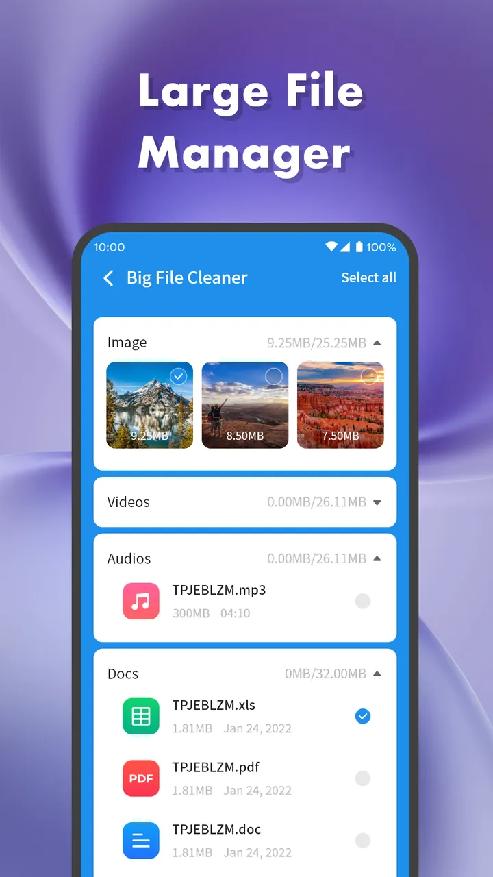 Clean Sweep Plus screenshot 3