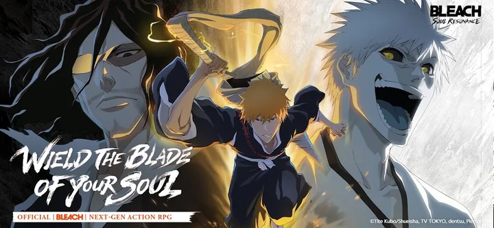 BLEACH: Soul Resonance screenshot 3
