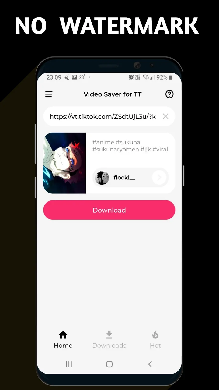 Video Downloader TSaver screenshot 2