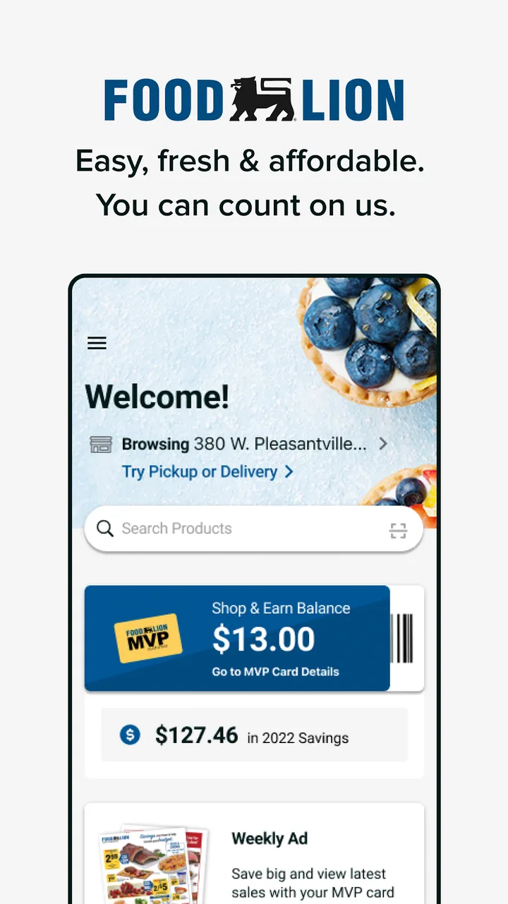 Food Lion screenshot 1