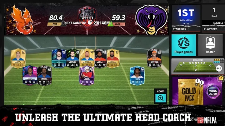 Football Head Coach 27 NFL PA screenshot 3