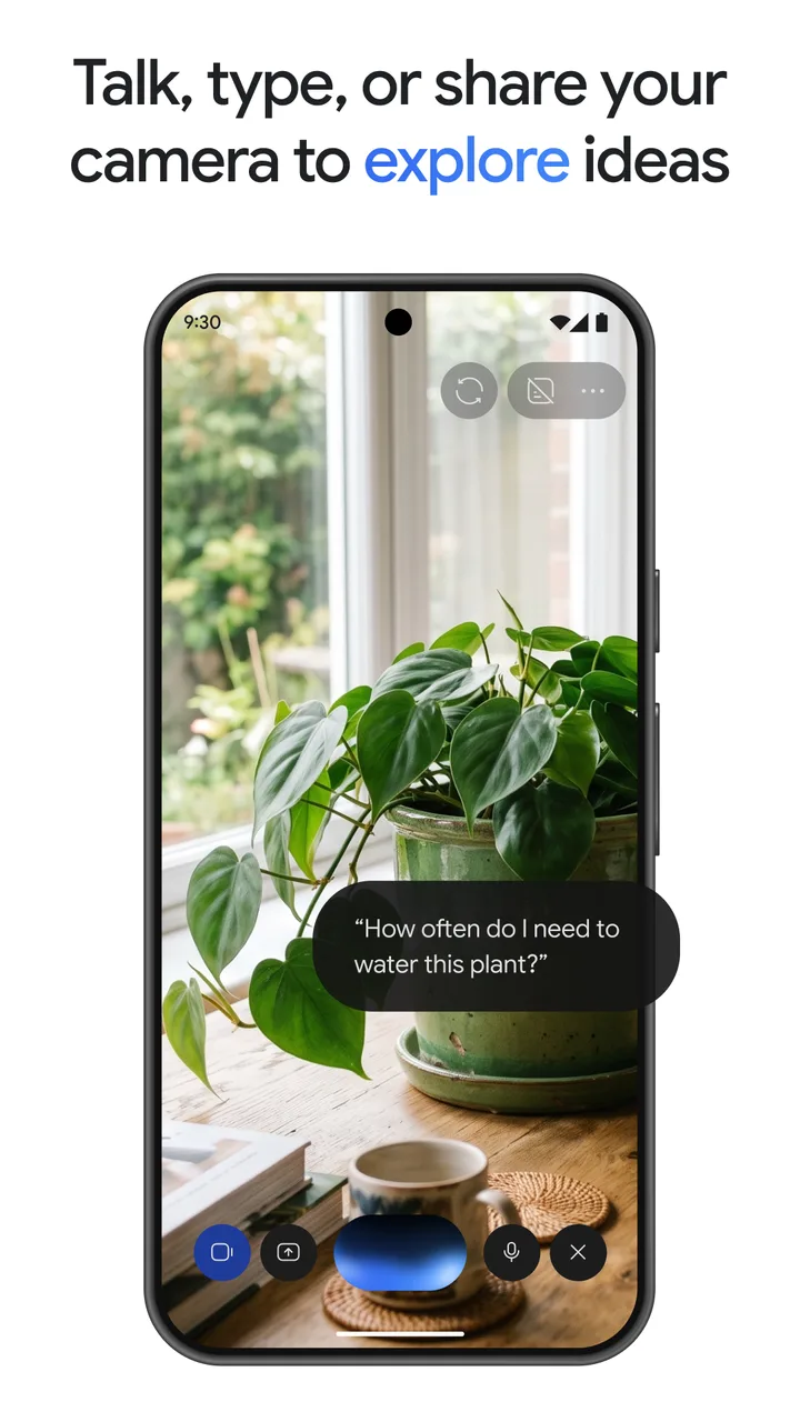 Google Gemini screenshot 2