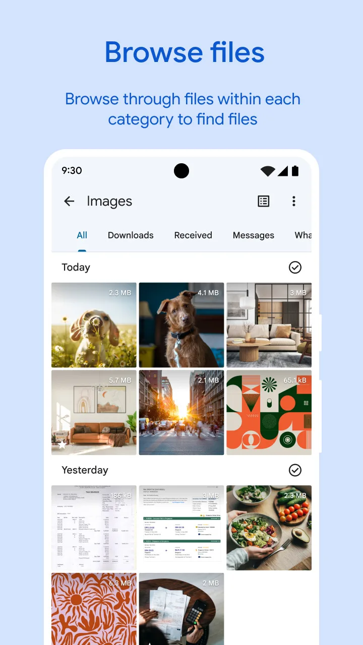 Files by Google screenshot 2