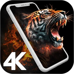 4K Wallpapers - HD Backgrounds icon