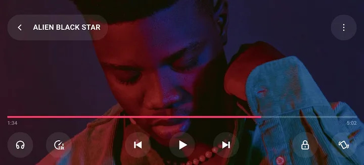Lark Video Player screenshot 1