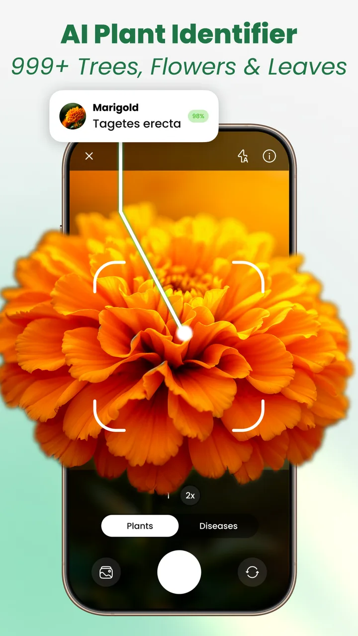 Plant Identifier: Tips & Care screenshot 1