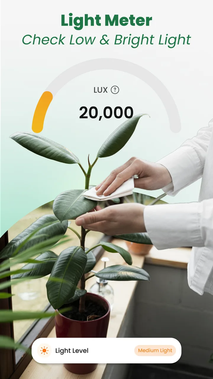 Plant Identifier: Tips & Care screenshot 4