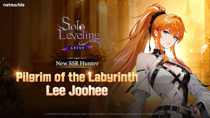 Solo Leveling:Arise screenshot 2