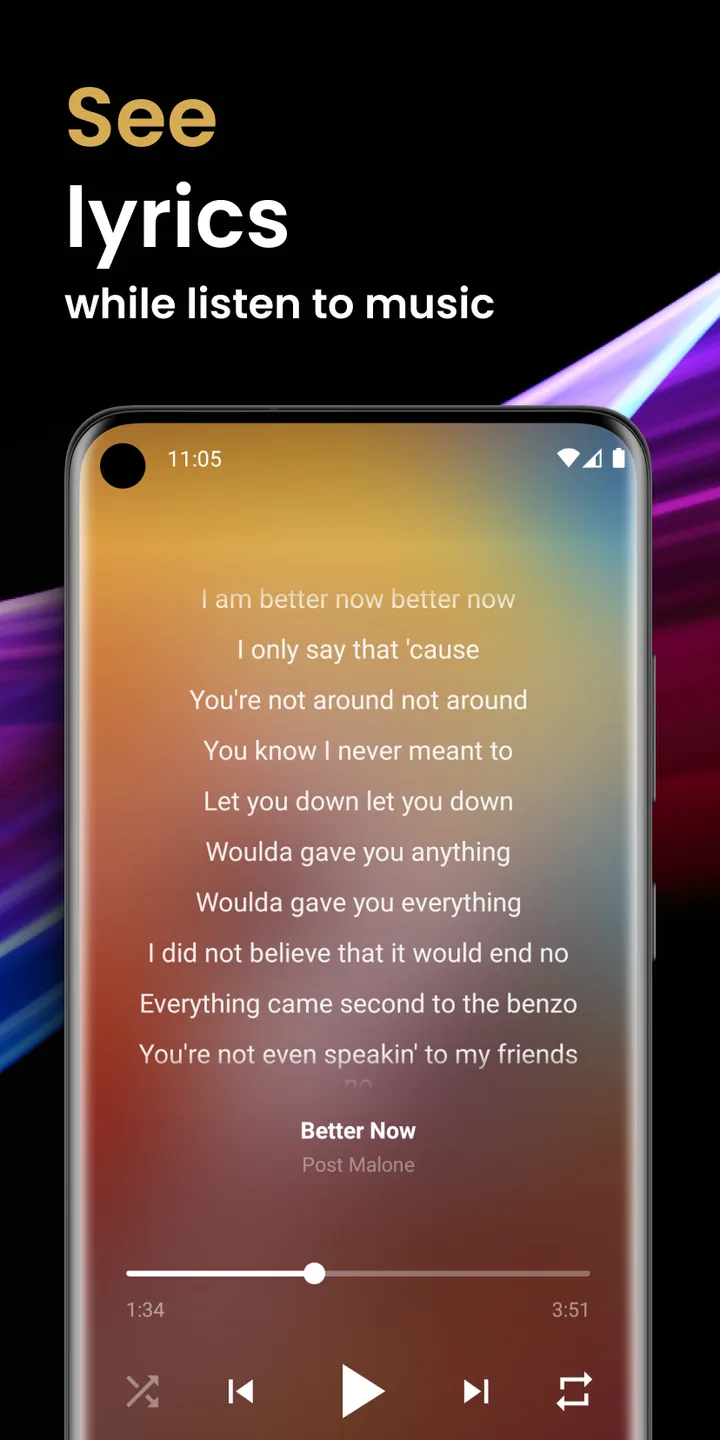 Offline Music Player screenshot 3