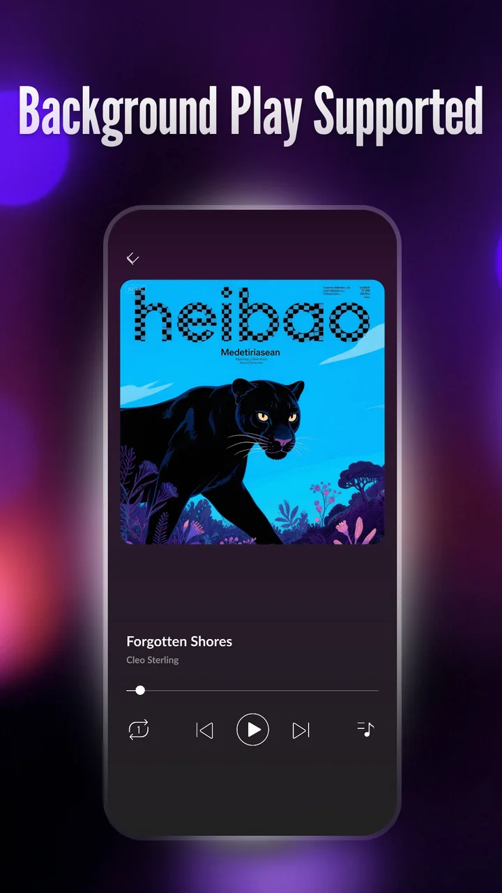 Offline Player: Local Music screenshot 3
