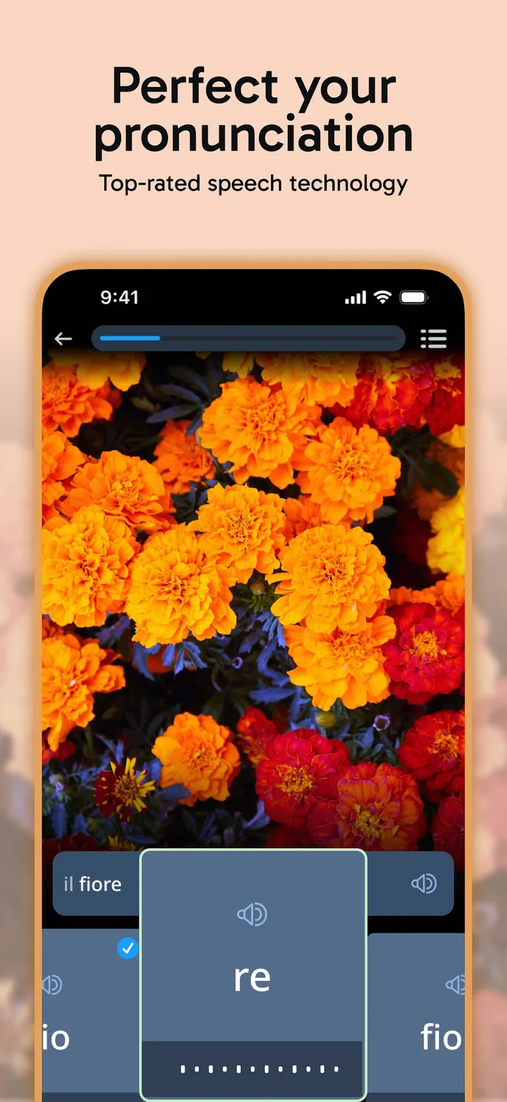 Rosetta Stone Sapphire screenshot 4