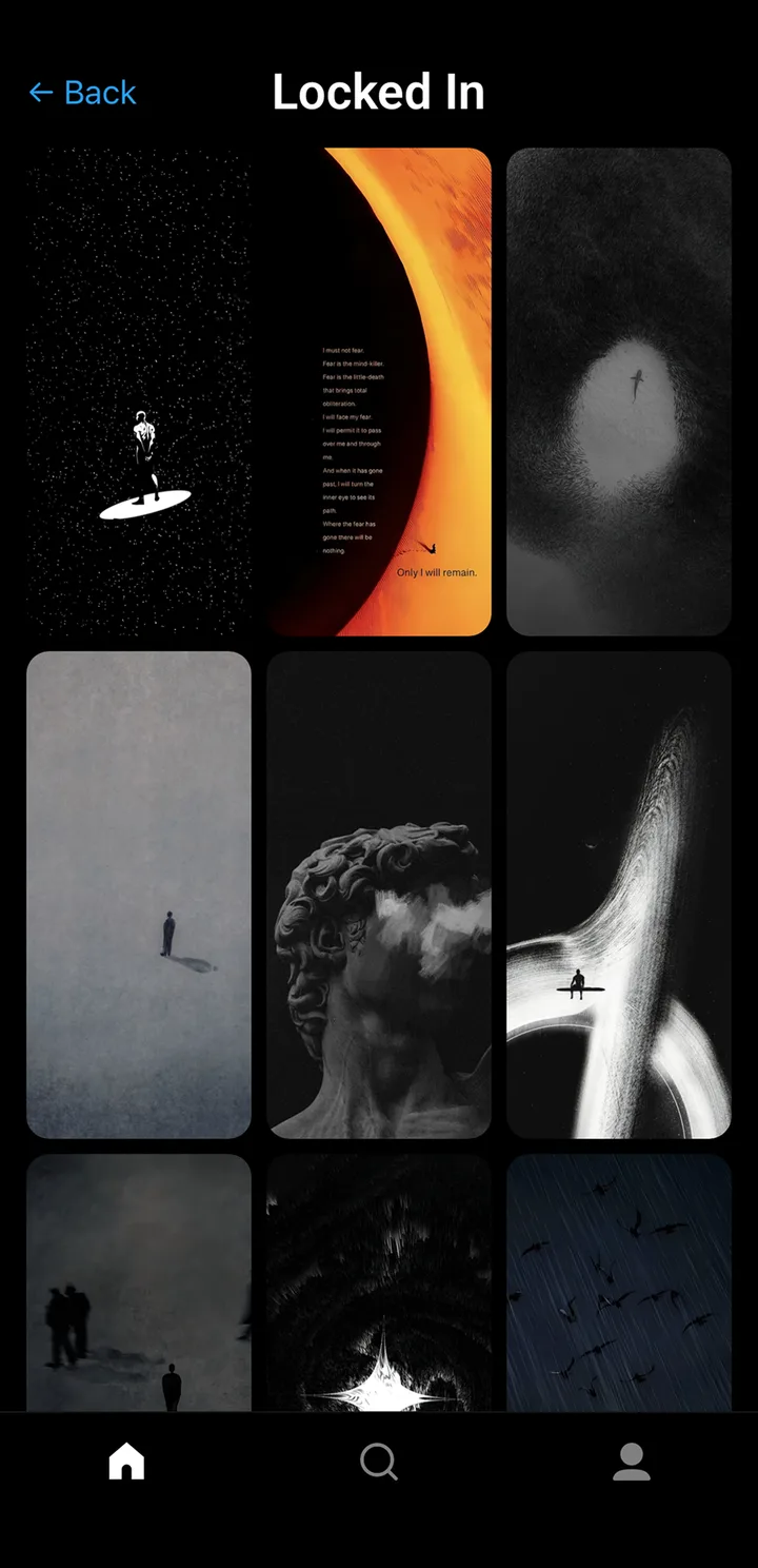 Gallerie Wallpapers screenshot 2