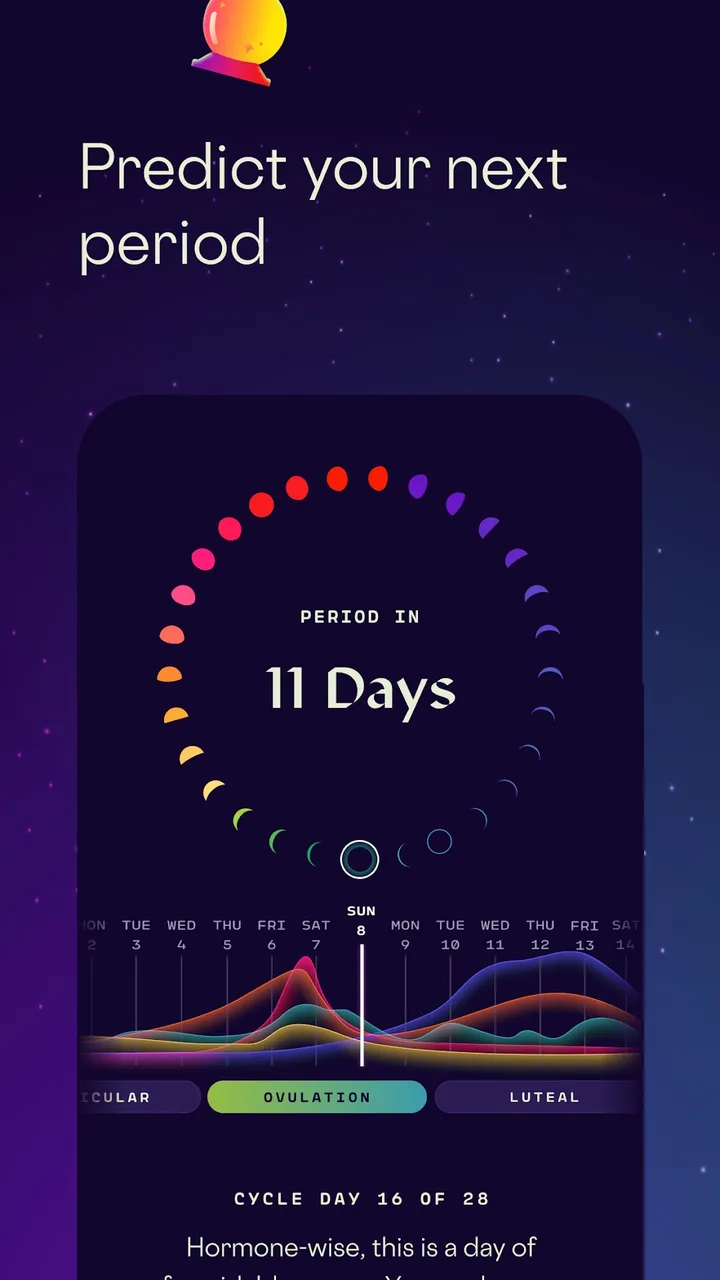 Stardust Period Tracker screenshot 2
