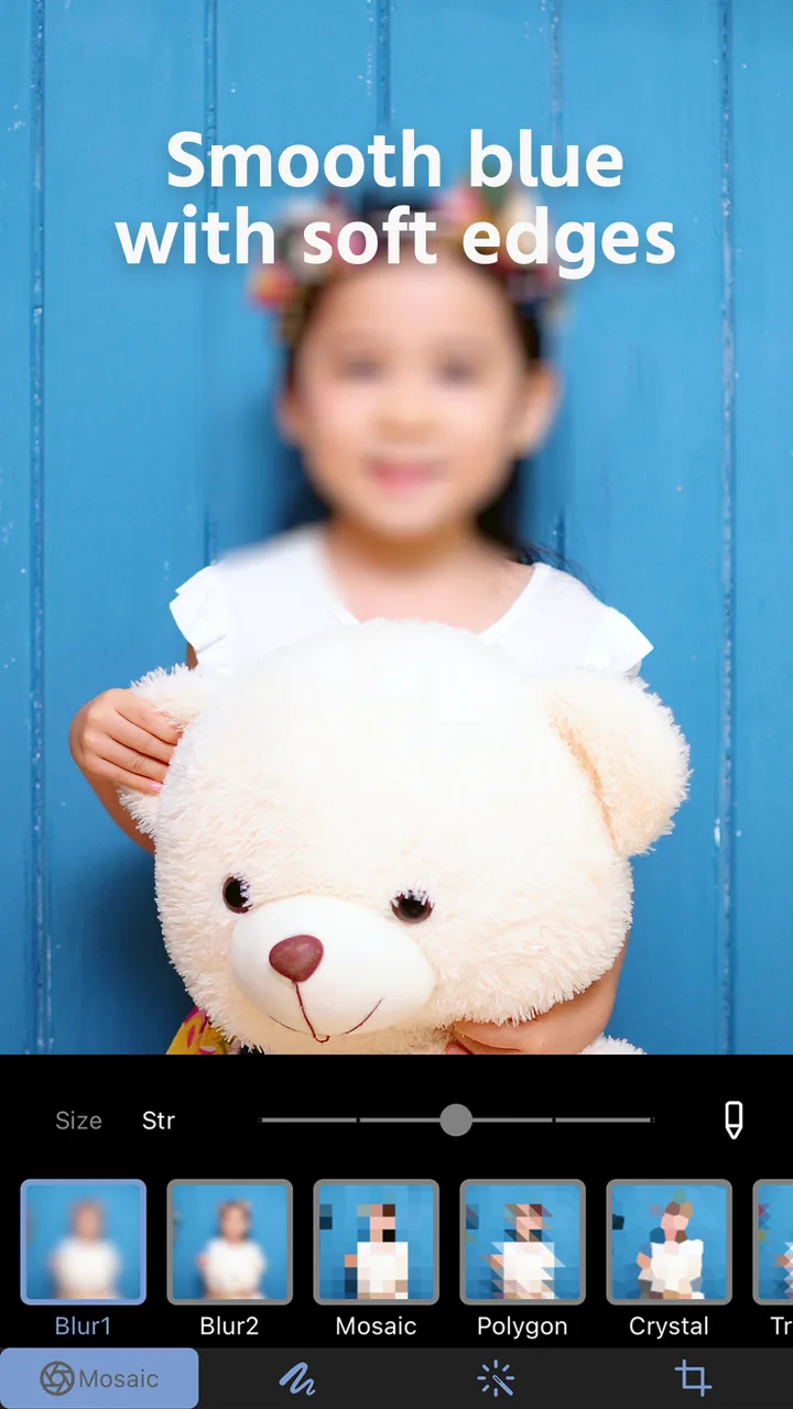 Photo Blur & Mosaic Effects screenshot 3