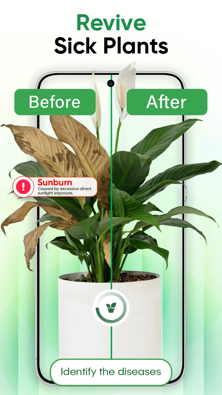 Plant Identifier - Scan & Care screenshot 2