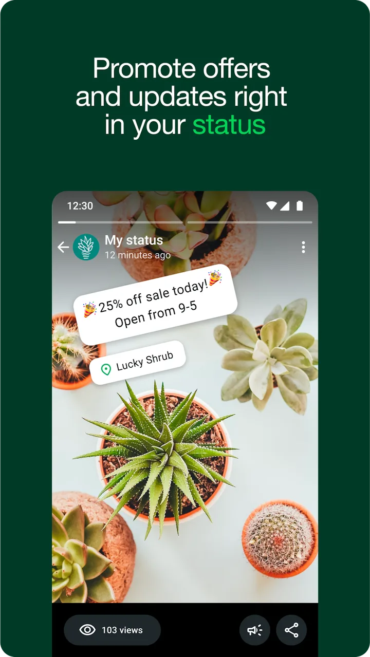 WhatsApp Business screenshot 2