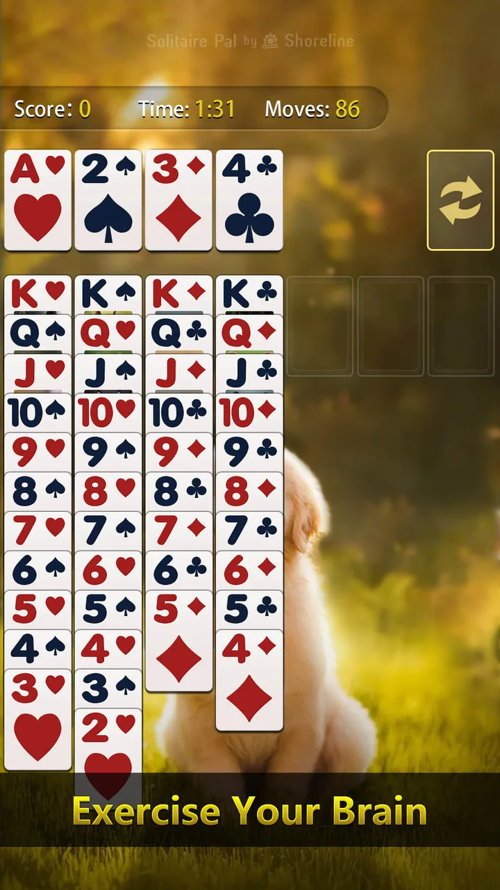 Solitaire Pal: Big Card screenshot 2