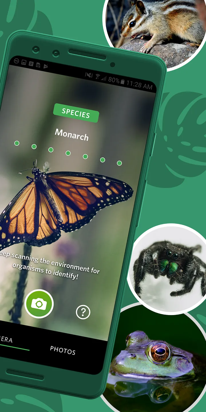 Seek by iNaturalist screenshot 2