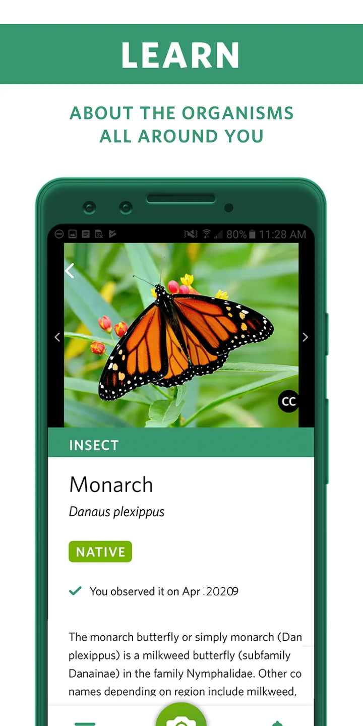 Seek by iNaturalist screenshot 3