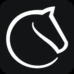 Lichess icon