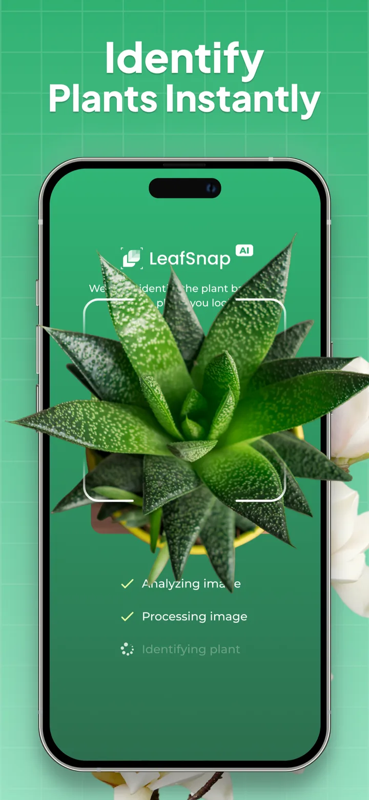 Plant Identifier: LeafSnap screenshot 1