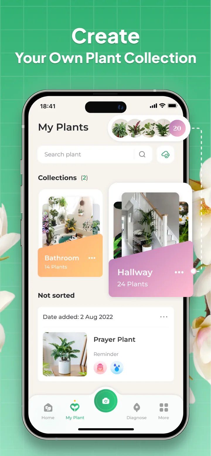 Plant Identifier: LeafSnap screenshot 2