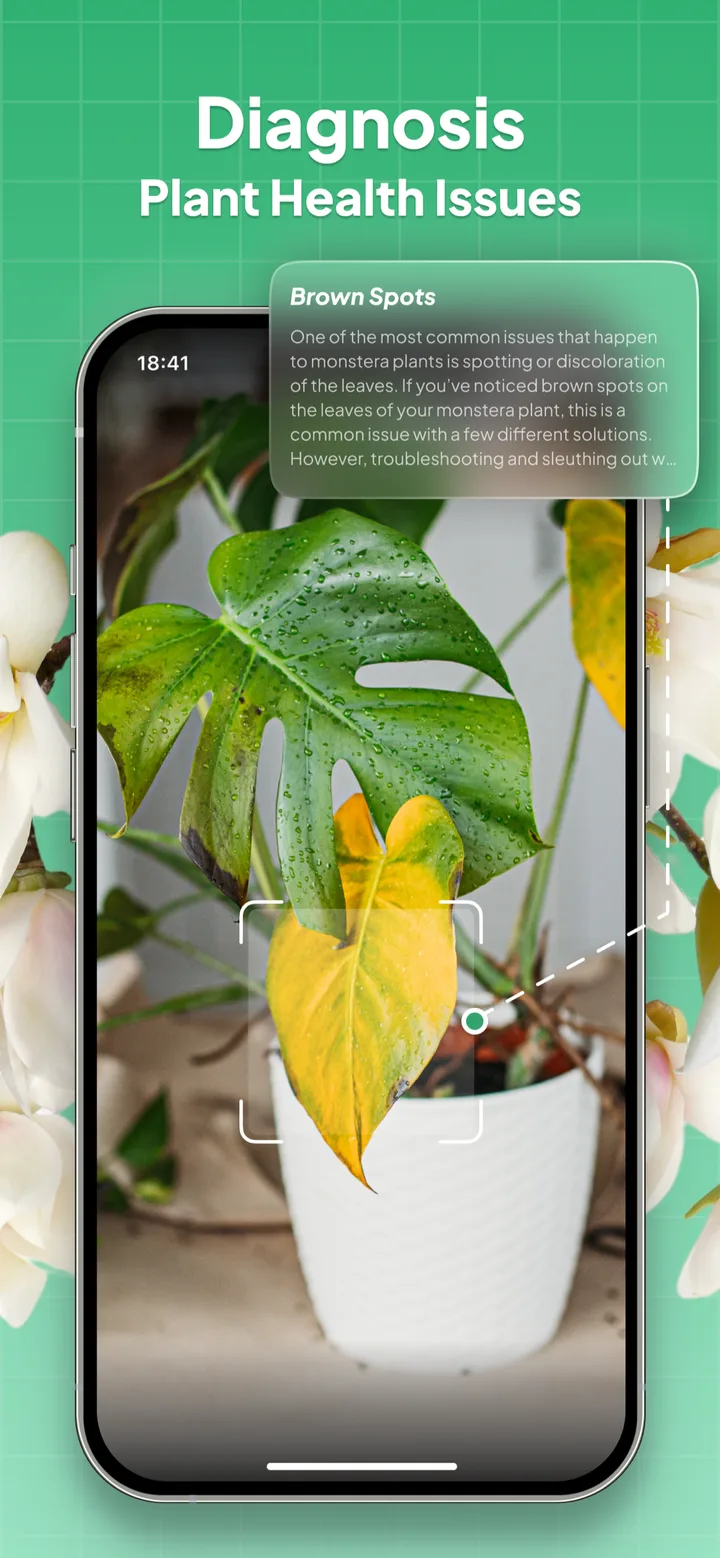 Plant Identifier: LeafSnap screenshot 3